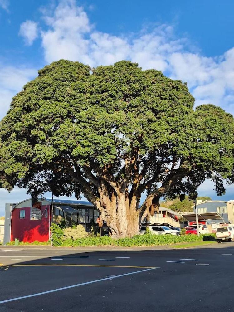 Landmark Manor New Plymouth Exterior foto