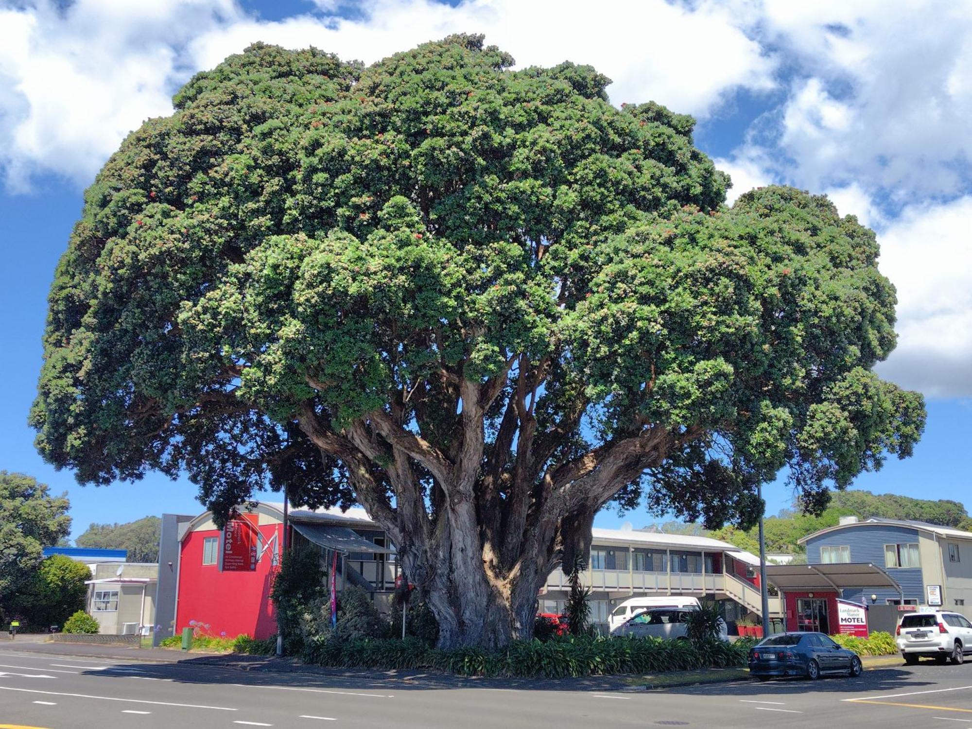 Landmark Manor New Plymouth Exterior foto